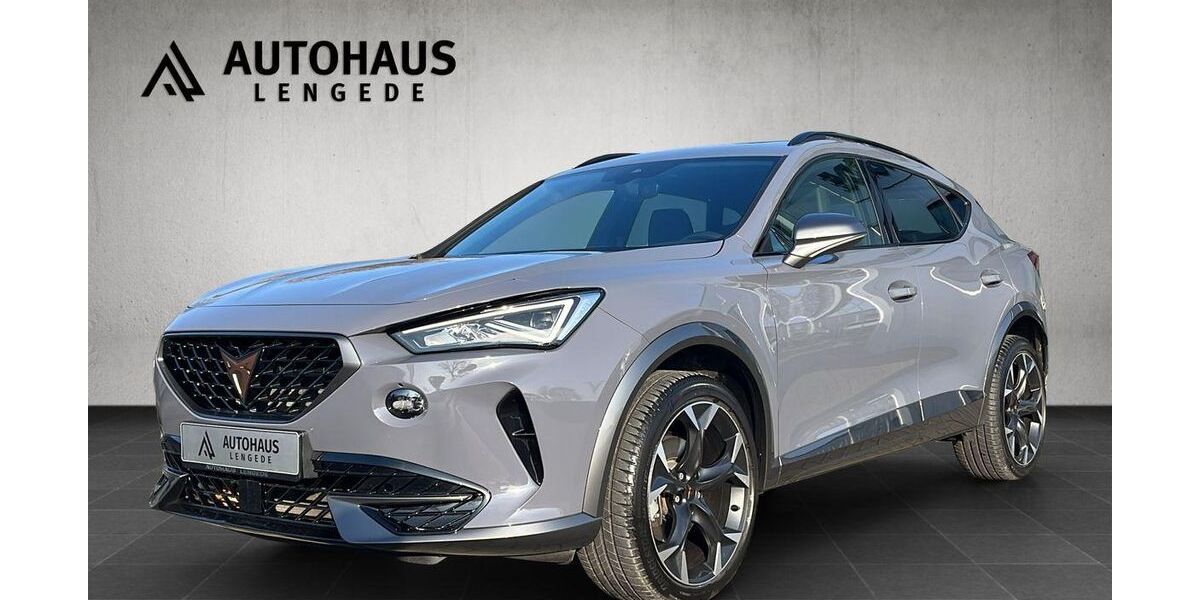 Cupra Formentor 53.177 km 27.999 &euro; Lengede 38268