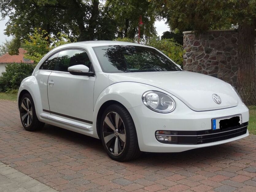 Beetle