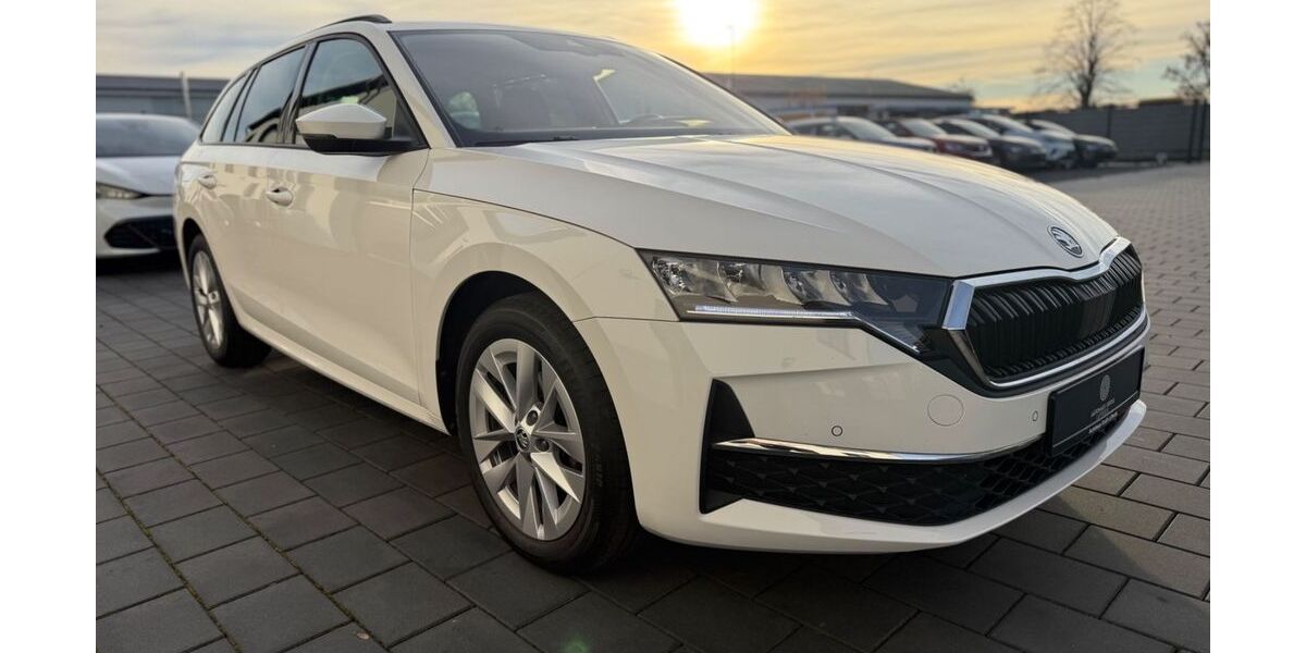 Skoda Octavia 26.900 km 28.890 &euro; Ilsede 31246