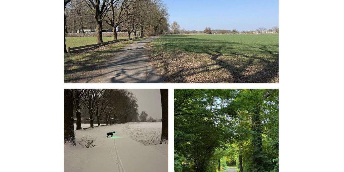 Einfamilienhaus Wolfsburg Kästorf - 4 Zimmer, 140 m&sup2;, 298.000&euro; | Angebot:25973559