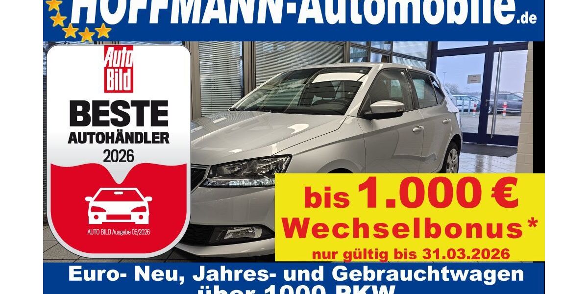 Skoda Fabia 45.322 km 10.800 &euro; Wolfsburg-Heiligendorf 38444