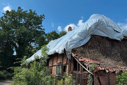 Gewerbeobjekt Edemissen - 5.000&euro; | Angebot:24743321