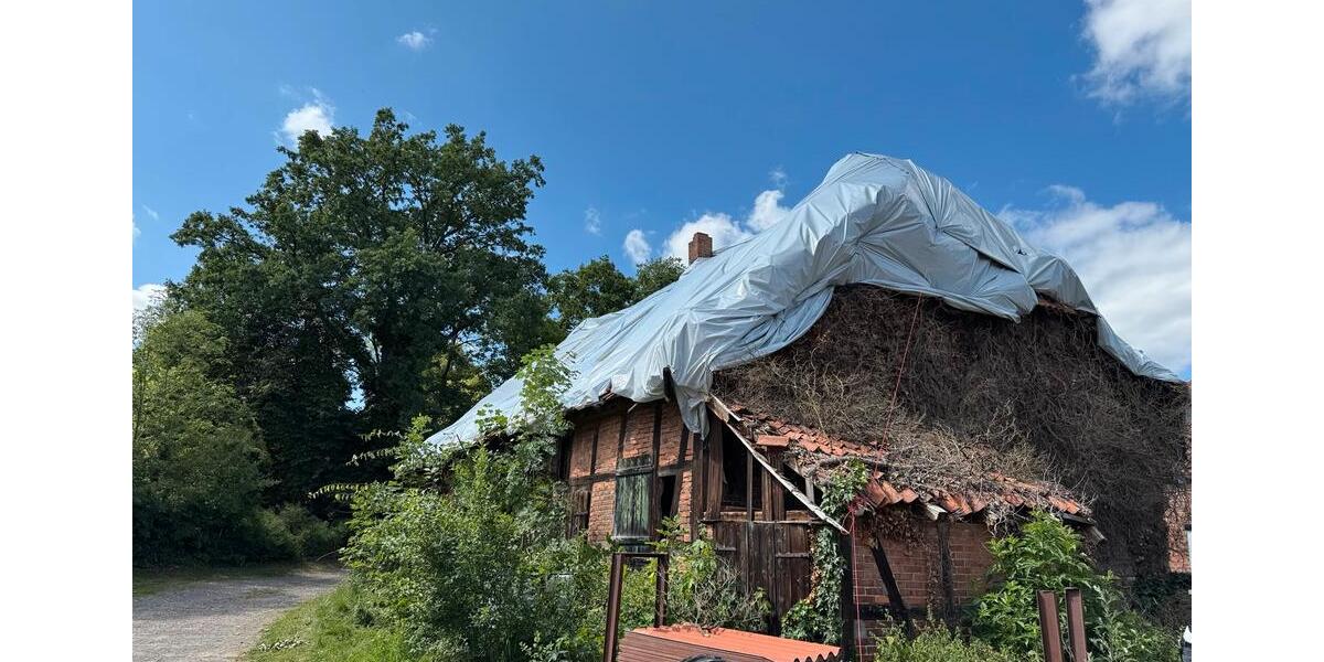 Gewerbeobjekt Edemissen - 5.000&euro; | Angebot:24743321