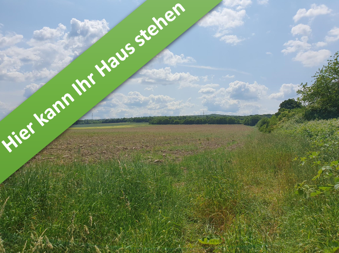 Haus zum Kaufen in Salder 331.750 € 124 m²