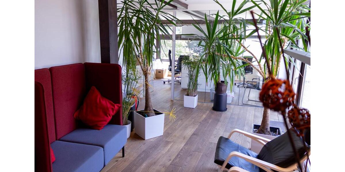 Büroräume Praxisräume zu vermieten. Nähe HBK. Helenenstraße zimmer