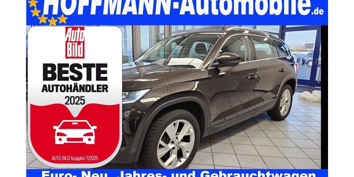 Skoda Kodiaq 130.023 km 19.700 € Wolfsburg-Heiligendorf 38444