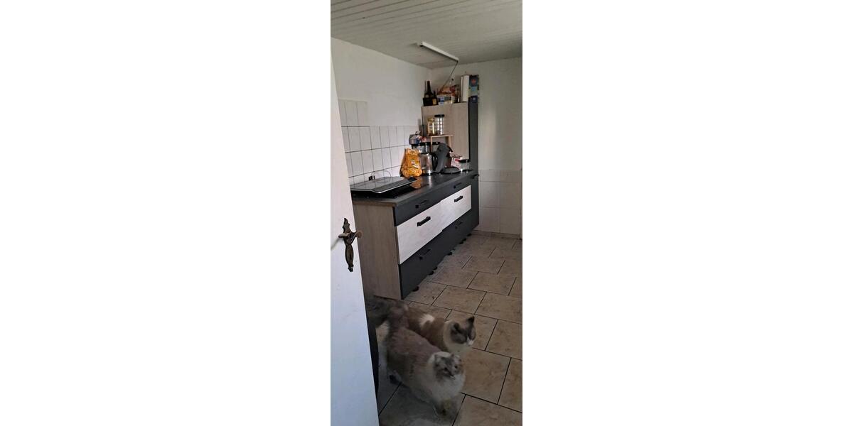 Einfamilienhaus Braunschweig Lehndorf-Watenbüttel - 4 Zimmer, 75 m&sup2;, 550&euro; | Angebot:25131384