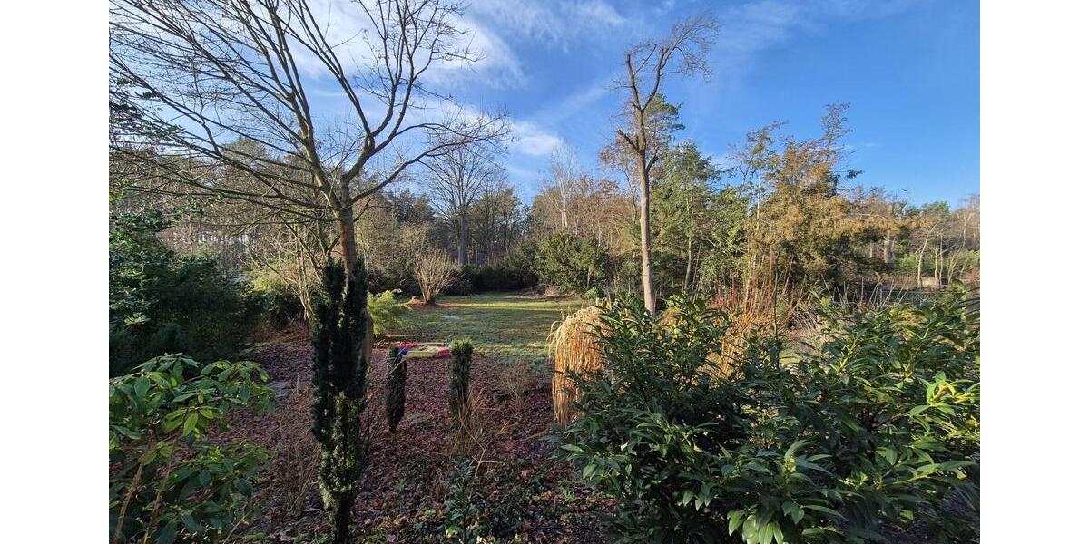 Einfamilienhaus Gifhorn - 5 Zimmer, 157 m&sup2;, 1.490&euro; | Angebot:24395376