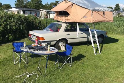 Mercedes-Benz 280 203.000 km 17.000 &euro; Sassenburg 38524
