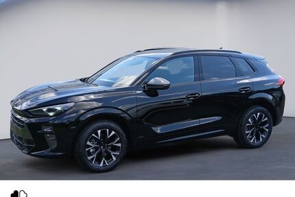 Cupra Terramar 2.500 km 37.975 &euro; Braunschweig 38114