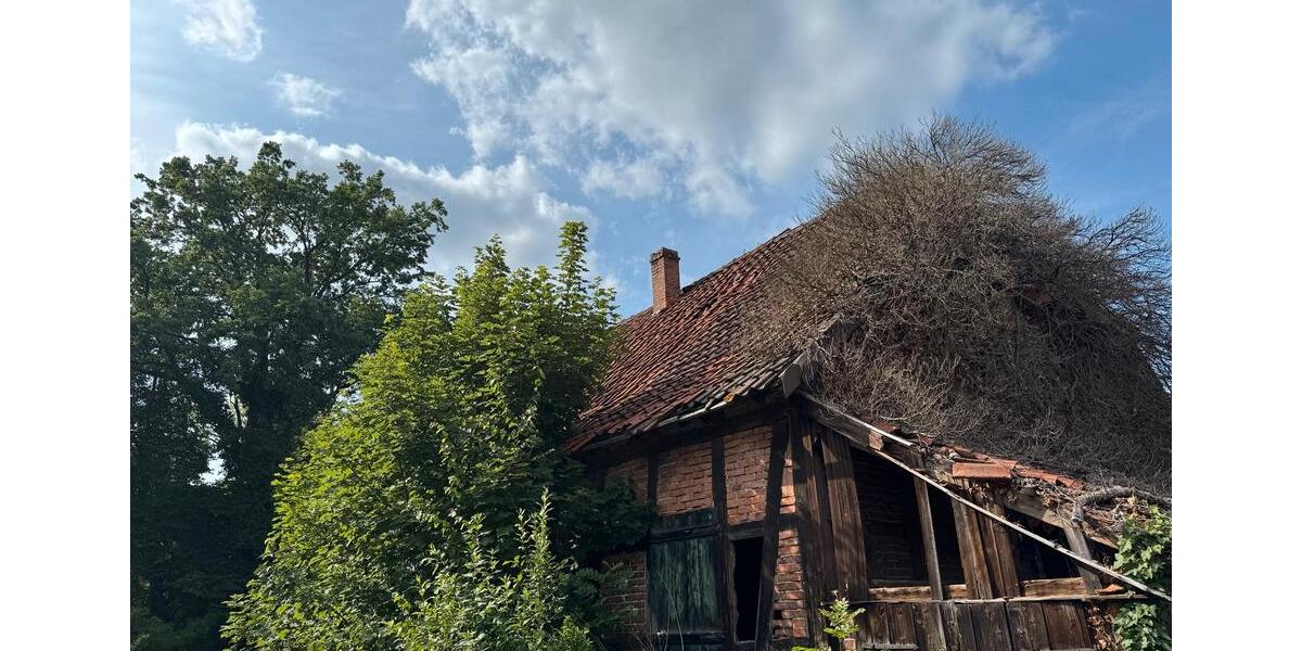 Gewerbeobjekt Edemissen - 5.000&euro; | Angebot:24743321