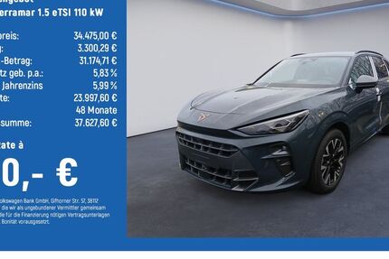 Cupra Terramar 9.500 km 32.975 &euro; Braunschweig 38114