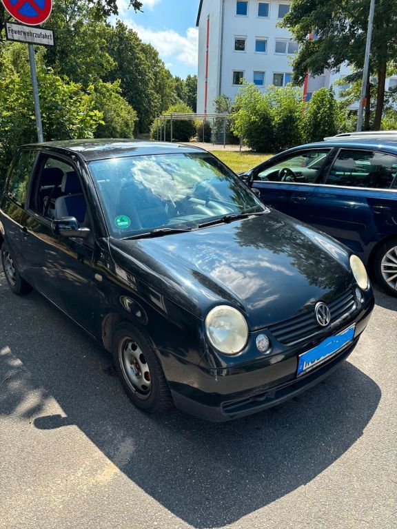 Lupo