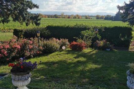 Renoviertes Einfamilienhaus mit Brockenblick in Liebenburg OTH 6 zimmer