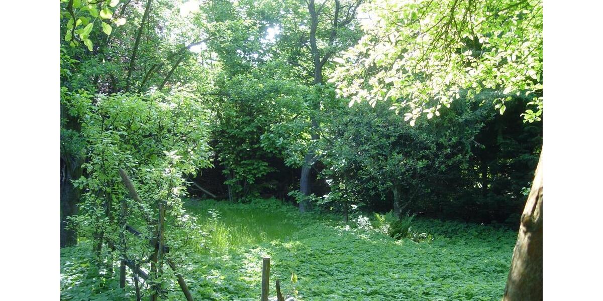 Villa Wolfenbüttel Ahlum - 14 Zimmer, 300 m&sup2;, 650.000&euro; | Angebot:24577492