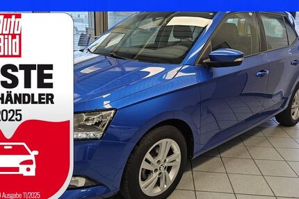 Skoda Fabia 69.400 km 12.900 € Wolfsburg-Heiligendorf 38444