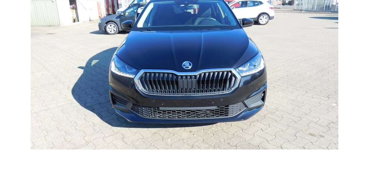 Skoda Fabia 1.0 Ambion TSI BMT 4TRG Klima Navi 14.100 km 16.390 &euro; Vordorf 38533