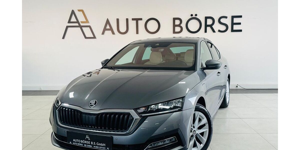 Skoda Octavia 124.130 km 21.490 &euro; Braunschweig 38114