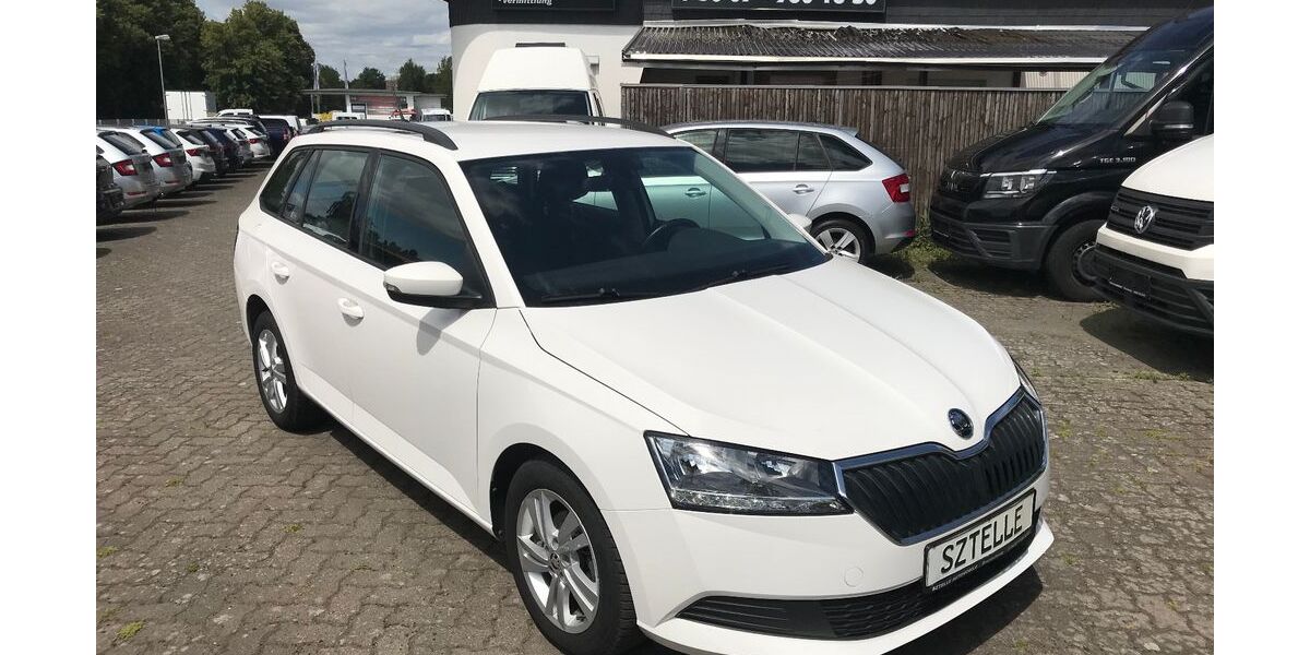 Skoda Fabia 58.358 km 12.699 € Braunschweig 38110