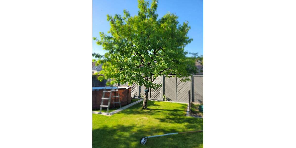 Einfamilienhaus Wolfsburg Laagberg - 6 Zimmer, 168 m&sup2;, 498.000&euro; | Angebot:25724262