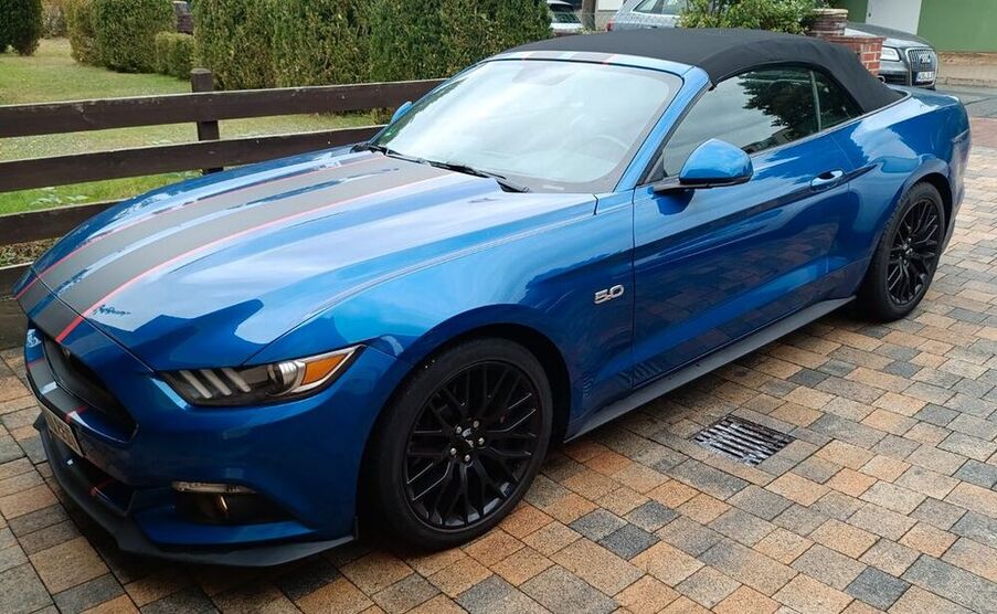 Mustang