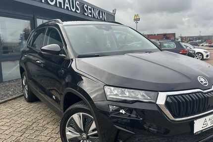 Skoda Karoq 26.000 km 24.990 &euro; Peine 31228