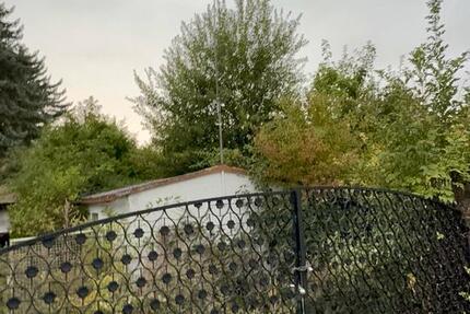 Haus Liebenburg - 3 Zimmer, 68 m&sup2;, 777&euro; | Angebot:24369324