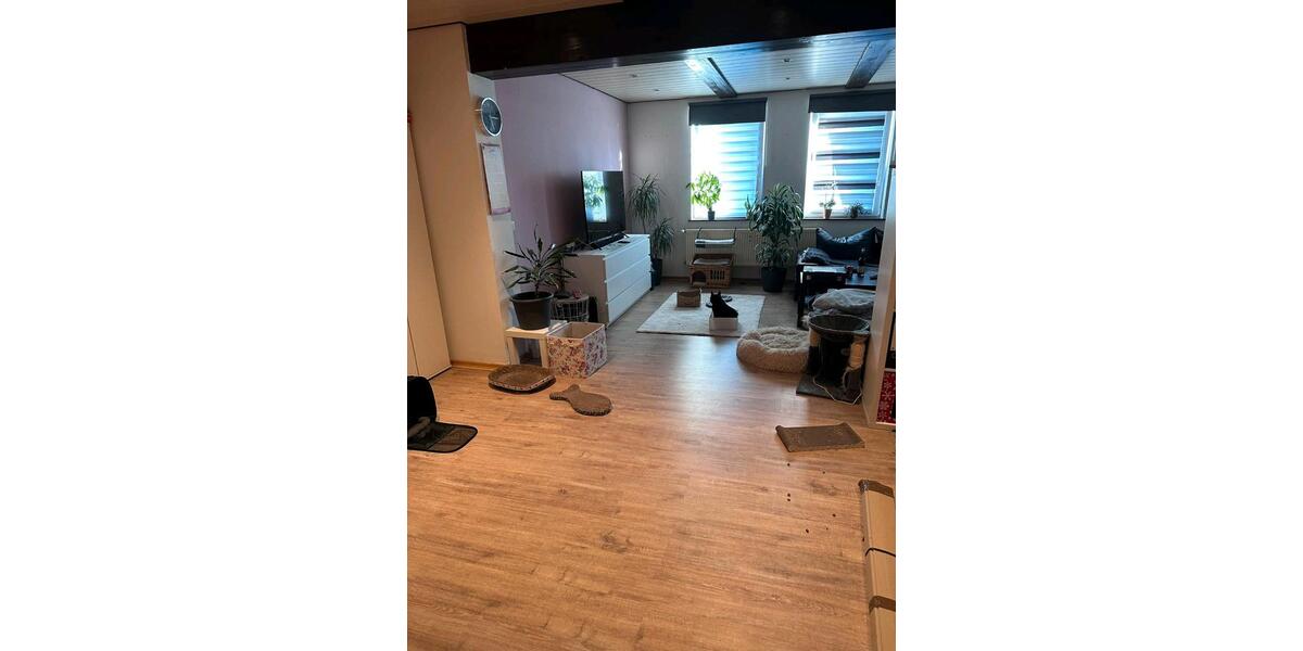 Erdgeschoßwohnung Vordorf - 2 Zimmer, 65 m&sup2;, 500&euro; | Angebot:25397251