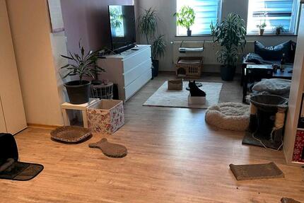 Wohnung Vordorf - 2 Zimmer, 65 m&sup2;, 500&euro; | Angebot:25397251