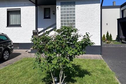 Wohnung Sassenburg - 2 Zimmer, 60 m&sup2;, 600&euro; | Angebot:26689016
