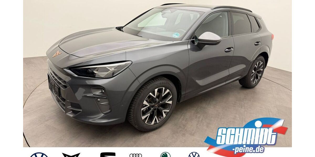 Cupra Terramar 26.560 km 34.900 &euro; Peine 31226