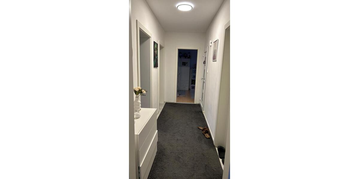 Doppelhaushälfte Wolfsburg Alt-Wolfsburg - 3 Zimmer, 86 m&sup2;, 820&euro; | Angebot:24655261