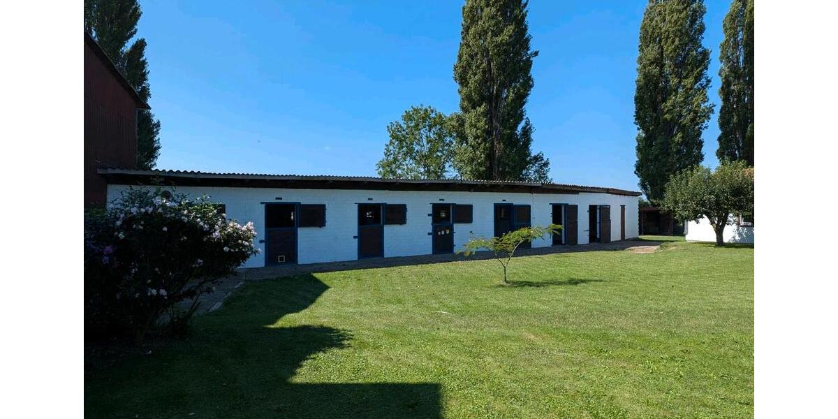 Mehrfamilienhaus, Wohnhaus Salzgitter Ortschaft Nord - 1 Zimmer, 1 m&sup2;, 590.000&euro; | Angebot:26591482
