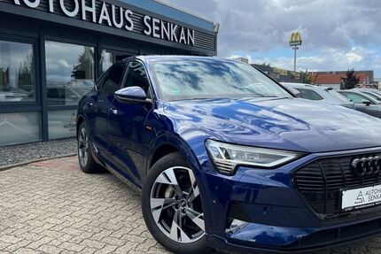 Audi e-tron 189.000 km 24.990 &euro; Peine 31228