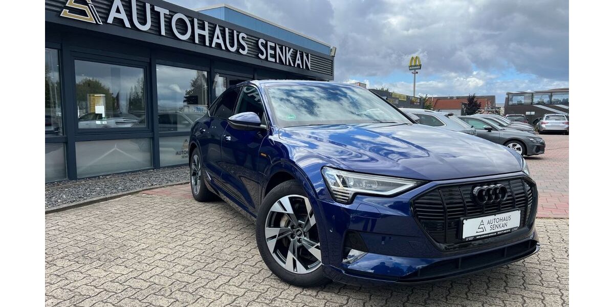 Audi e-tron 189.000 km 24.990 &euro; Peine 31228
