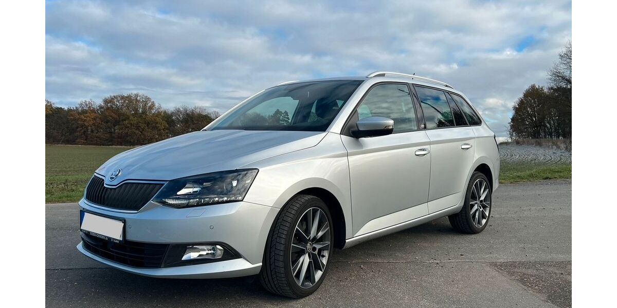 Skoda Fabia 99.000 km 11.490 &euro; Leiferde 38542