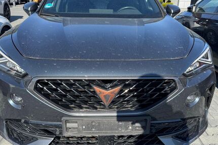 Cupra Formentor 105.602 km 21.990 &euro; Braunschweig 38122