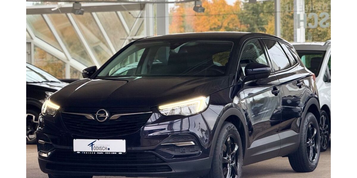 Opel Grandland (X) 94.321 km 13.490 &euro; Salzgitter 38228