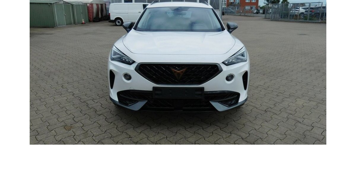 Cupra Formentor 1.5 TSI BMT Klima LED Alu 22.200 km 20.490 &euro; Vordorf 38533