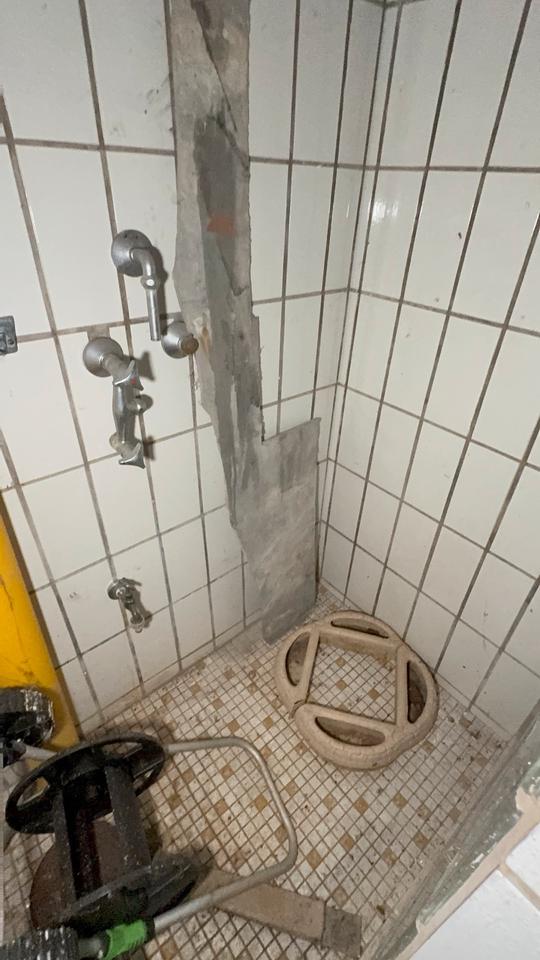 WER BEFREIT MICH AUS DEM DORNRÖSCHENSCHLAF?