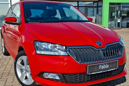 Skoda Fabia 38.610 km 12.850 € Helmstedt 38350