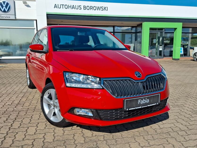 Skoda Fabia 38.610 km 12.850 € Helmstedt 38350