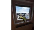 Dachgeschoßwohnung Wolfenbüttel Adersheim - 3.5 Zimmer, 91 m&sup2;, 184.000&euro; | Angebot:26698884