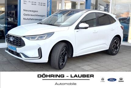 Ford Kuga 3.000 km 40.475 &euro; Braunschweig 38106