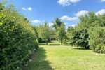 gemütliche Doppelhaushälfte mit großem Garten - Doppelhaushälfte Süpplingenburg | Angebot:27308882