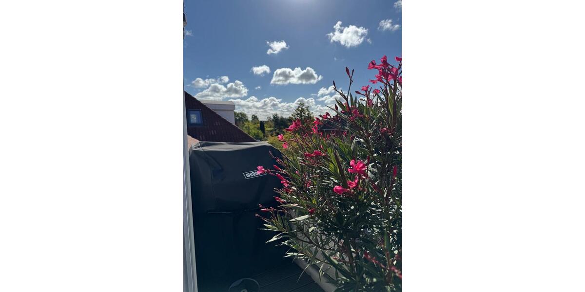 Dachgeschoßwohnung Wolfsburg Almke - 4 Zimmer, 120 m&sup2;, 315.000&euro; | Angebot:24429384