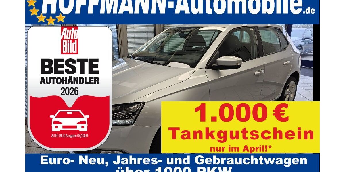 Skoda Fabia 47.371 km 13.900 &euro; Wolfsburg-Heiligendorf 38444