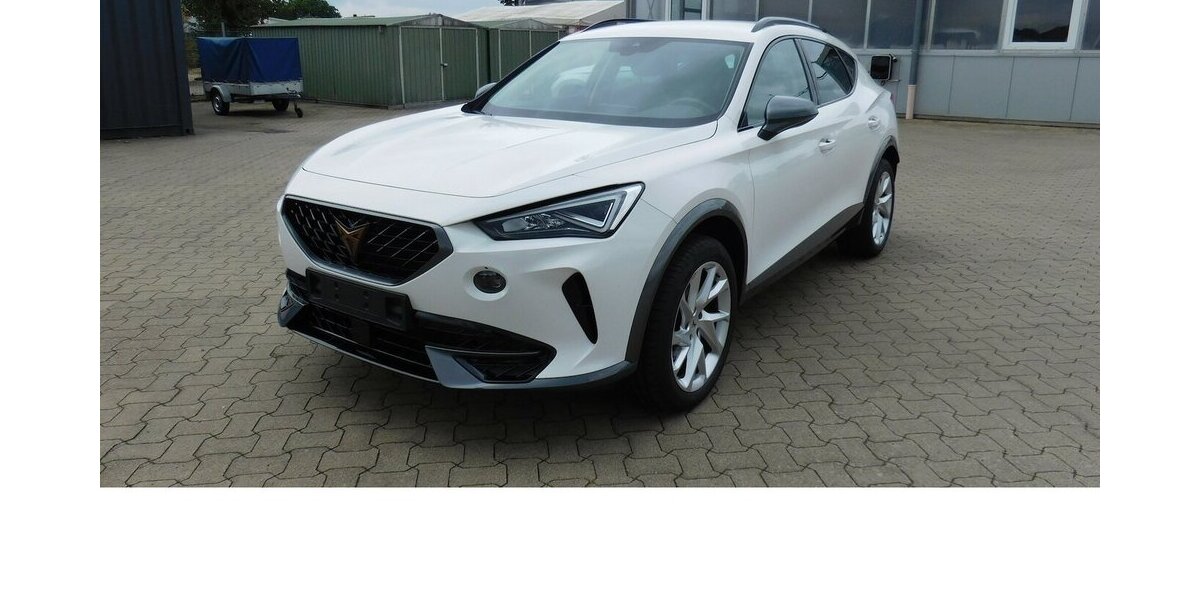 Cupra Formentor 1.5 TSI BMT Klima LED Alu 18.400 km 20.390 &euro; Vordorf 38533