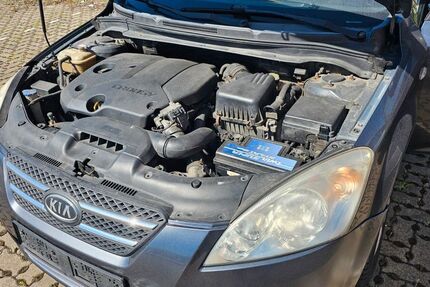 Kia ceed / Ceed 240.000 km 700 &euro; Salzgitter 38239