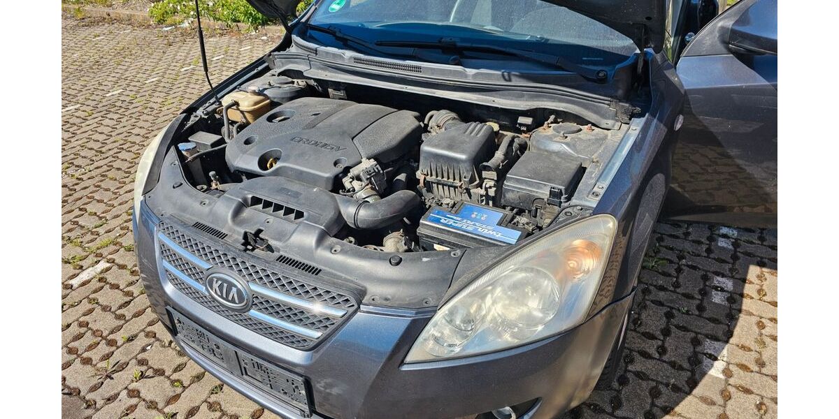 Kia ceed / Ceed 240.000 km 700 &euro; Salzgitter 38239